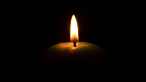 Grozljiv preobrat v primeru mlade Milene (17), za katero so mislili, da so jo ubile svinje: srhljive podrobnosti zaledenijo kri v žilah